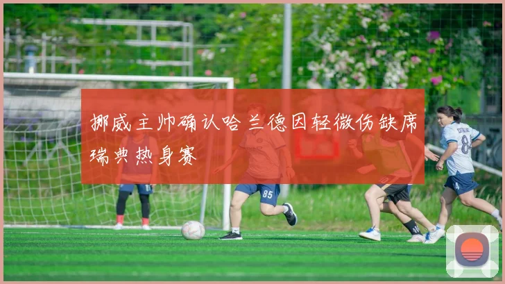 挪威主帅确认哈兰德因轻微伤缺席瑞典热身赛