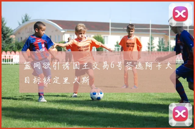 篮网欲引诱国王交易6号签选阿卡夫目标锁定里夫斯